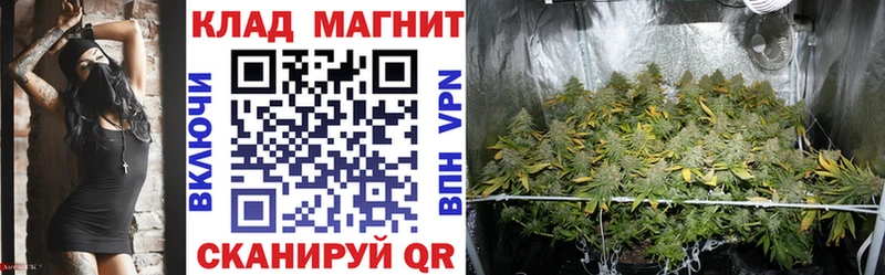 Купить наркотик Лодейное Поле АМФЕТАМИН Псилоцибиновые грибы ГАШ Канабис Мефедрон
