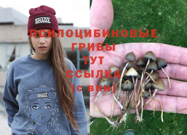 шишки Алексеевка