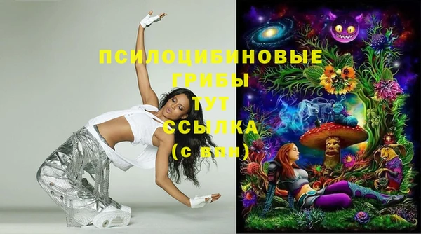 шишки Алексеевка