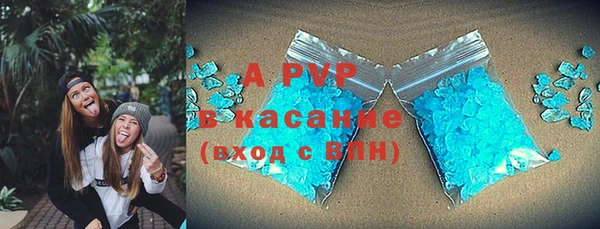 гашик Арсеньев