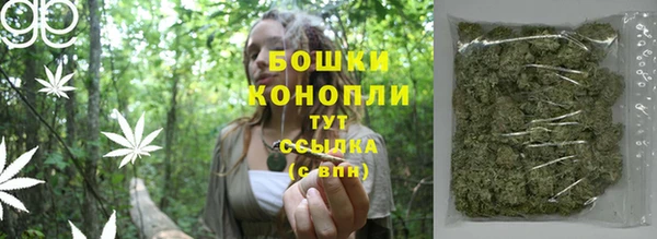 шишки Алексеевка