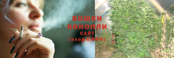 шишки Алексеевка