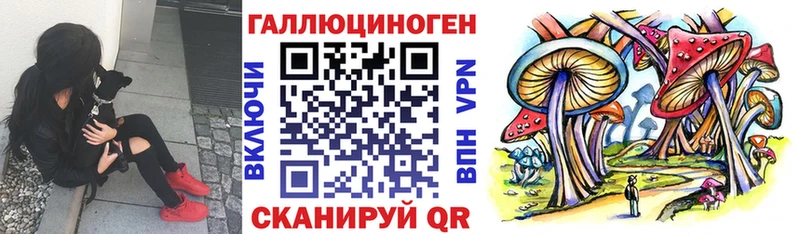 где найти наркотики  Лодейное Поле  Галлюциногенные грибы мицелий 